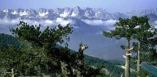 Популярни планински маршрути в Гърция