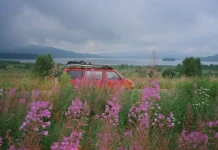 Живот с ван: История за простите неща, свободата и копнежът към пътешествия Живот във ван