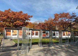 Зашеметяващи фотографии във второто издание на изложбата „Живот в оранжево 2.0“ – #кодоранжево