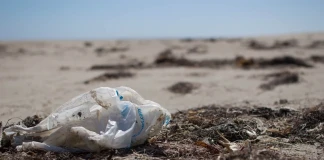 И Тайланд забрани употребата на найлонови торбички (галерия) Кадър: Jake Glass