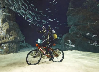 Най-ексцентричните приключенски рекорди, попаднали в Книгата на Гинес