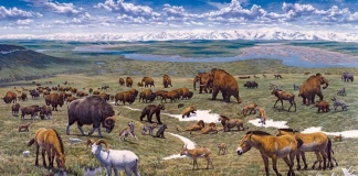 Земята преди време: Необикновената природа на праисторическа Европа