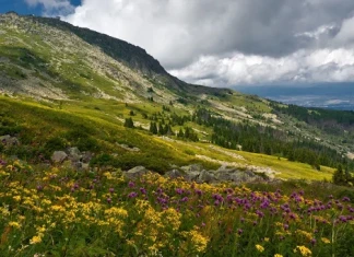Отпада забраната за посещения на природни паркове и планини