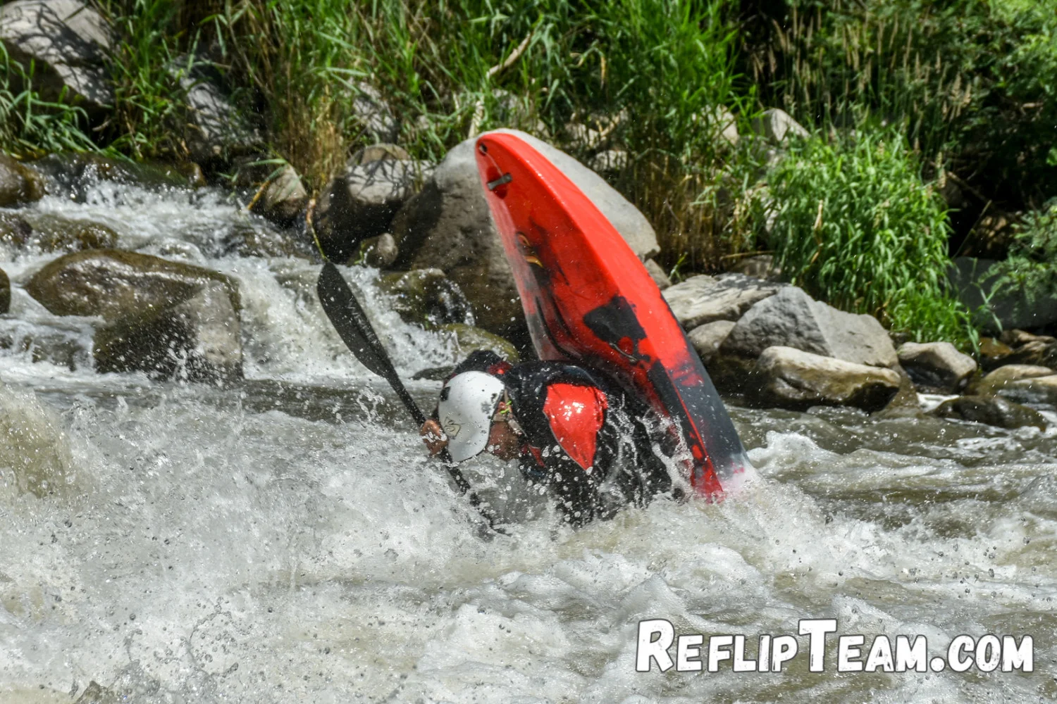 R6F_0733