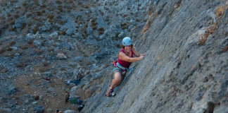 катерачен гидовник