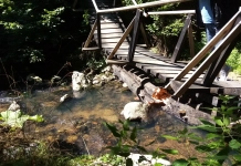 Дяволската пътека - Хайдушки дол