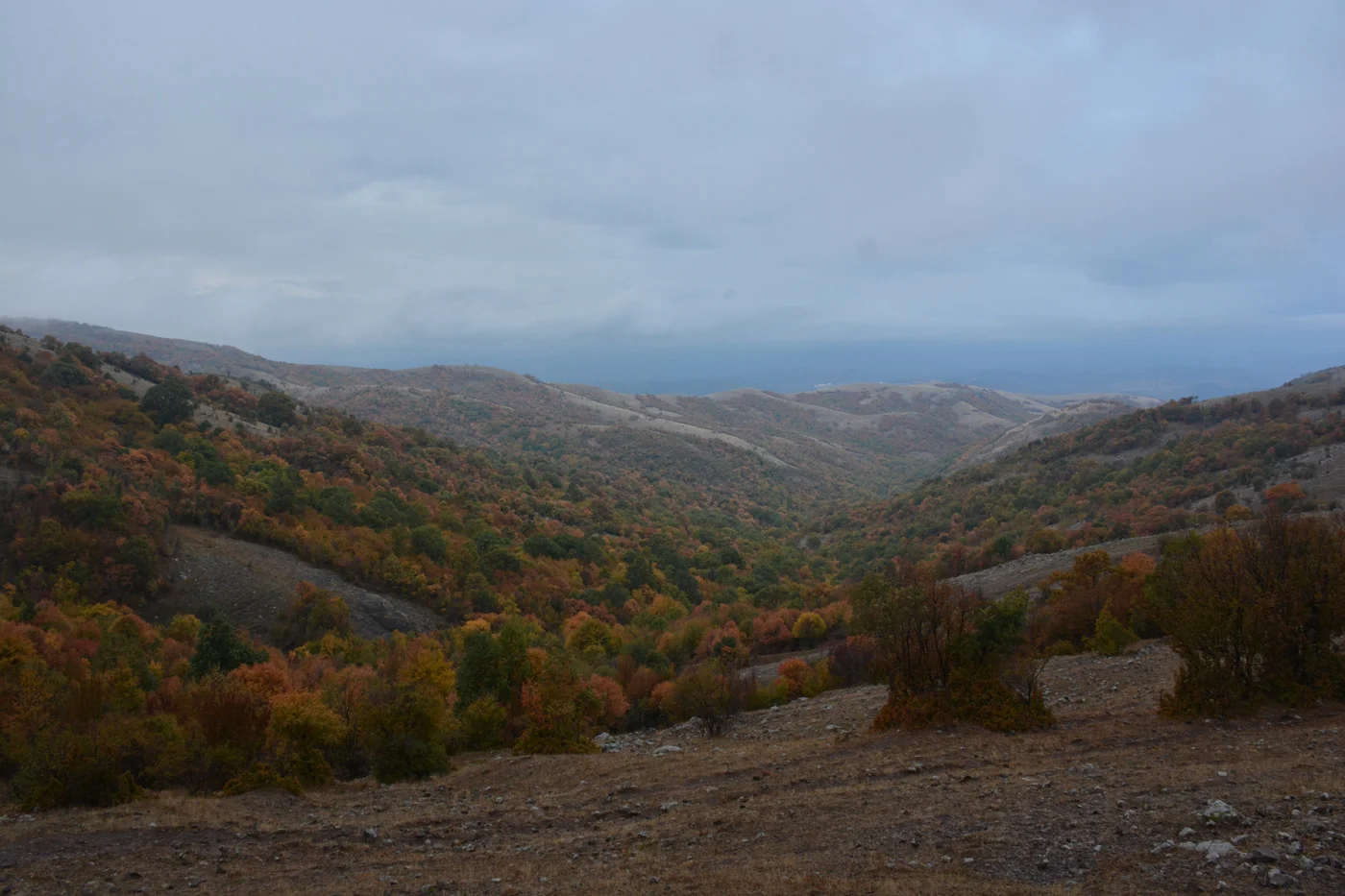 Надбягване в Източни Родопи