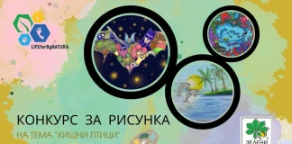 Зелени Балкани - конкурс