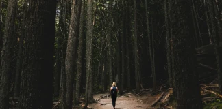 Изгубени - ходене в кръг