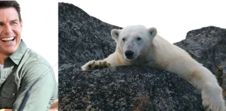 Том Круз ще снима в Свалгард