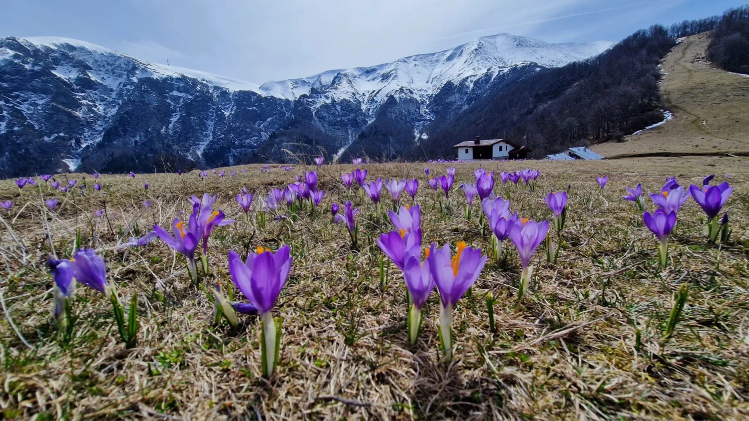 Хижа „Плевен”