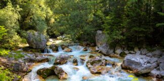 Soča Rvier, Slovenia, Снимка: Fabian-Kuhne