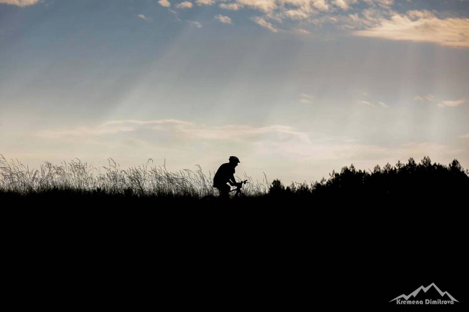Как се прави състезание: Лудогорски маратон
