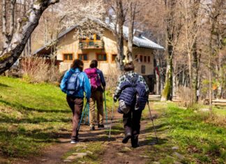 Хижа на годината