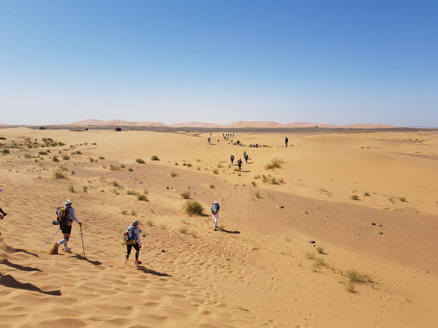 Венелина Емилова на Marathon des Sables в Сахара 