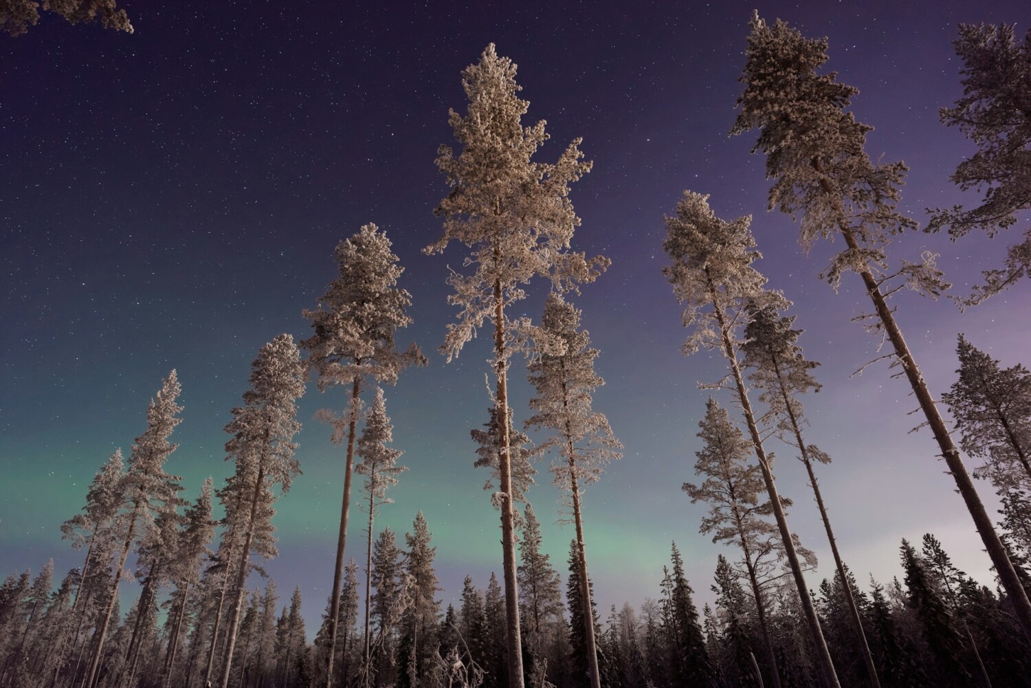 Северно сияние във Финландия