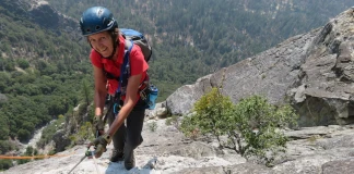 Диърдра Уолоуник