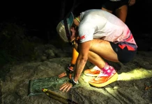 Тара Дауър на финала на Пътеката на Апалачите