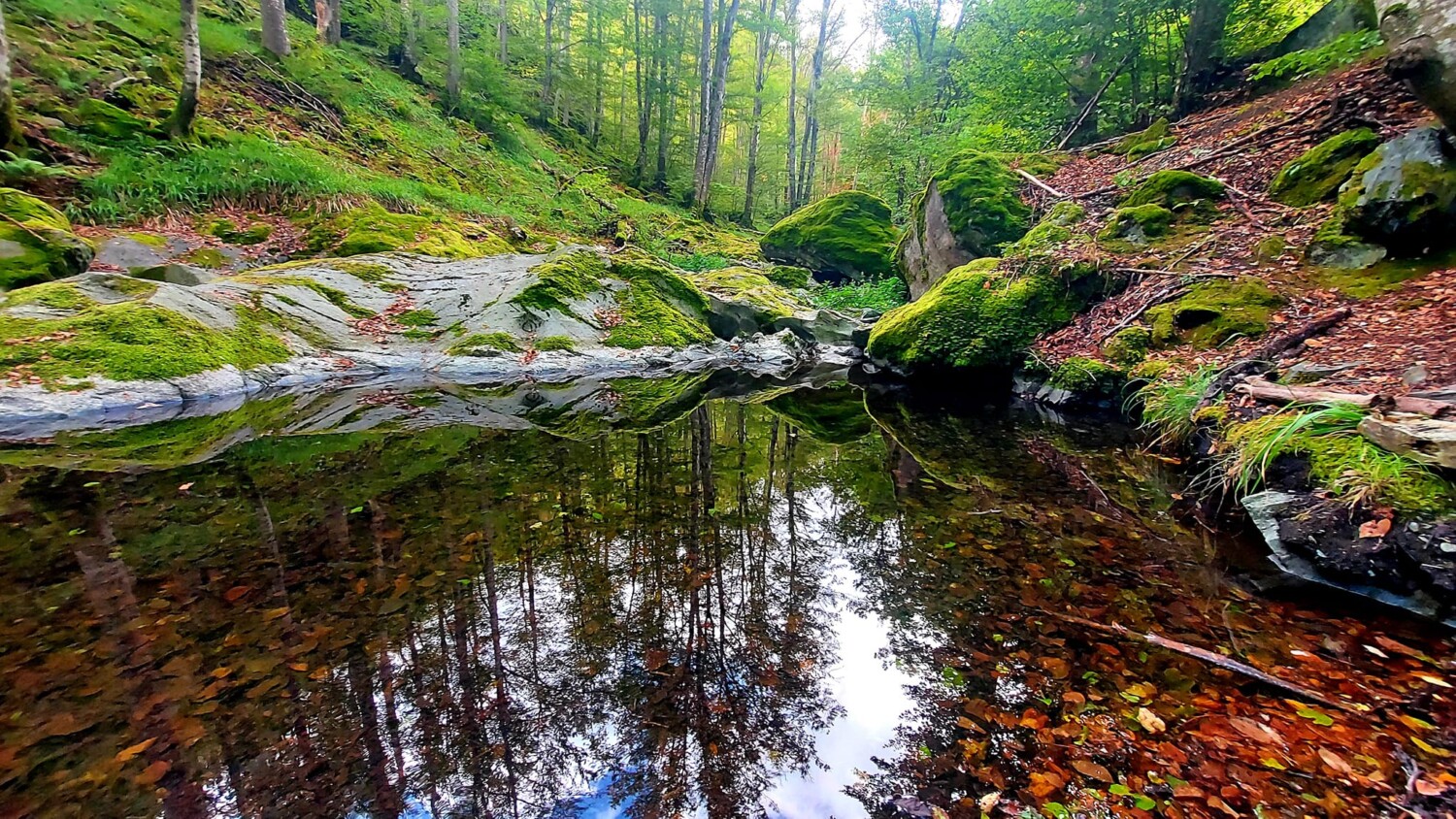 Екопътека "Хайдушки водопади"