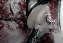 (НЕ)възможно оцеляване: Ева Вишниерска – да се озовеш в грешното време на грешното място