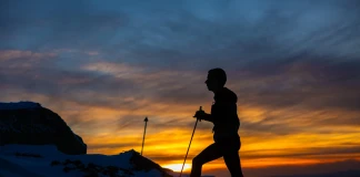 Виктор Асенов