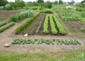 Биопрограма