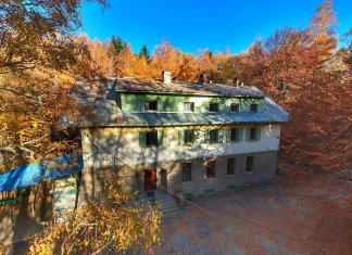 Хижа „Белите брези“