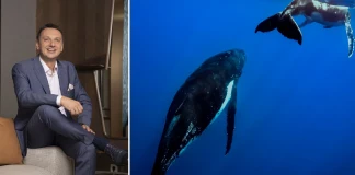 Мартин Василев, Керхер