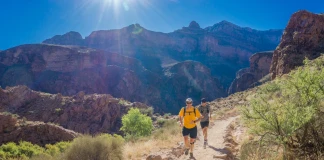 Планинско бягане (трейл)