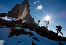 Алистър Лий