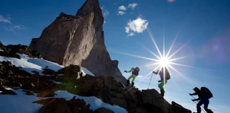 Алистър Лий