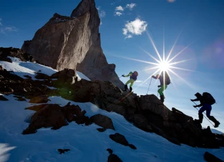 Алистър Лий