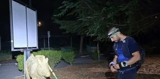 Пламен Манов