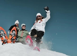 Френските Алпи