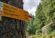 Европейският маршрут Е8 вече е с обновена маркировка между Боровец и Аврамово Европейският маршрут Е8 вече е с обновена маркировка между Боровец и Аврамово