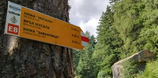 Европейският маршрут Е8 вече е с обновена маркировка между Боровец и Аврамово
