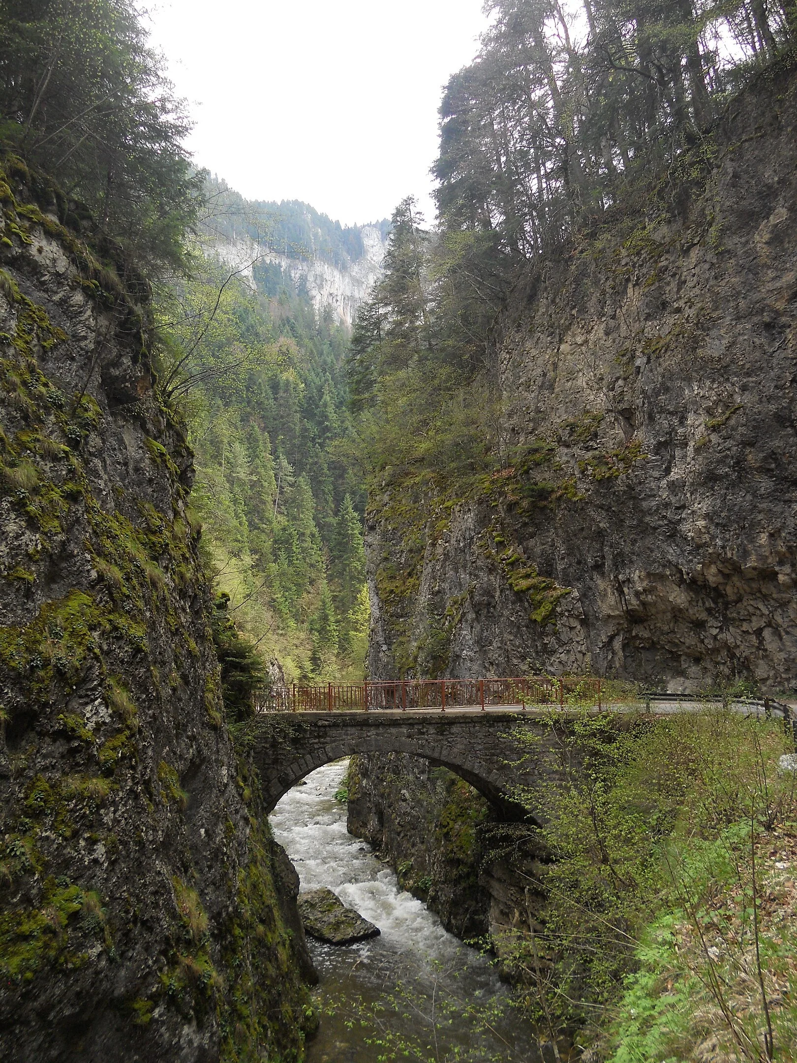 Триградското ждрело