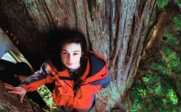 Тя живя две години на дърво, за да го спаси Джулия „Бътерфлай“ Хил живее 2 години върху дърво