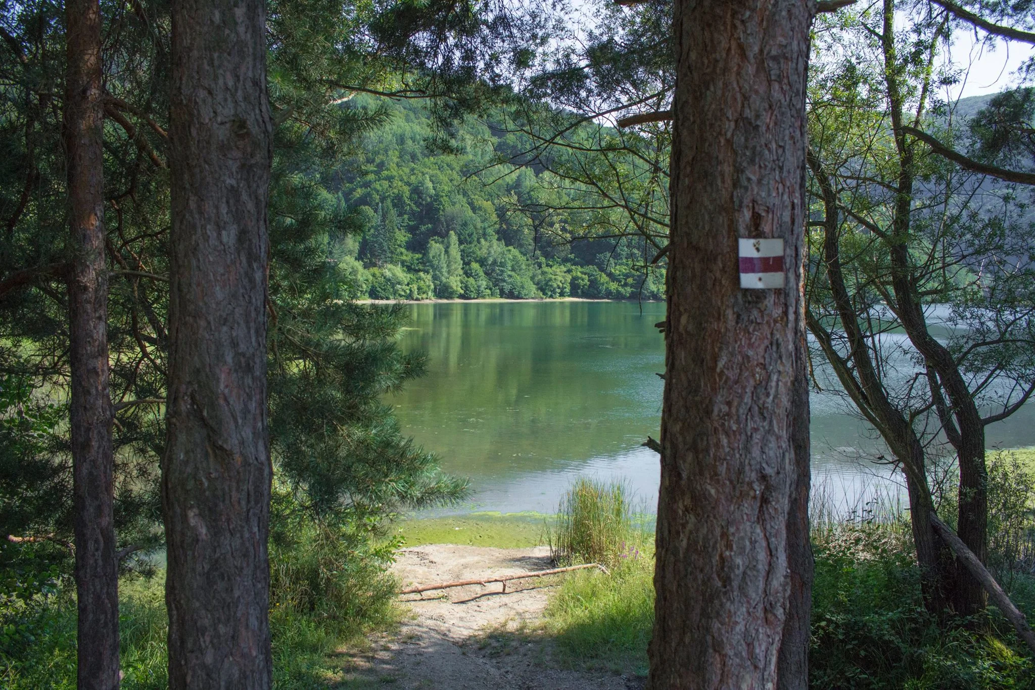 Екопътека „Лозенска планина“