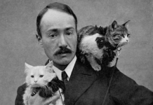 Ландор: най-заетият пътешественик