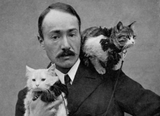 Най-заетият пътешественик, за когото никога не сте чували Ландор: най-заетият пътешественик