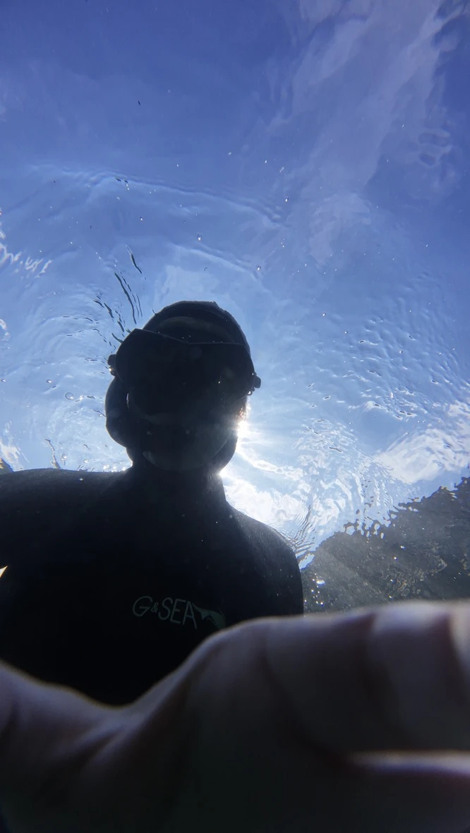 Стефани Димитрова