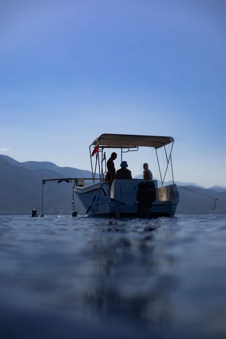 Стефани Димитрова