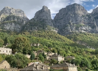 Микро Папиго