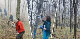 Сдружение „Алабак“ – хора, идеи и работа в сърцето на Родопите Сдружение "Алабак"