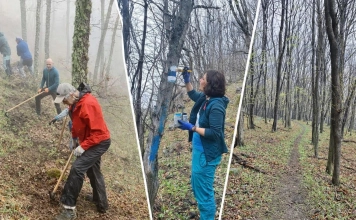 Сдружение "Алабак"