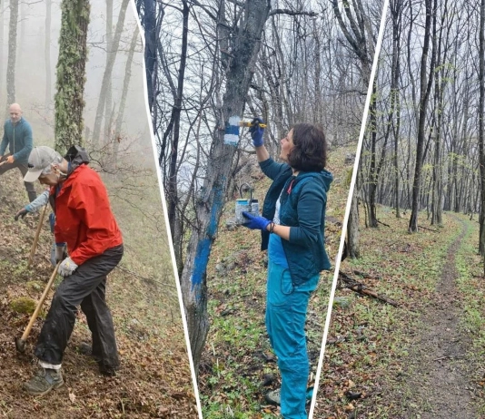 Сдружение "Алабак"