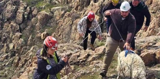 Алпинисти спасиха бедстващи овце