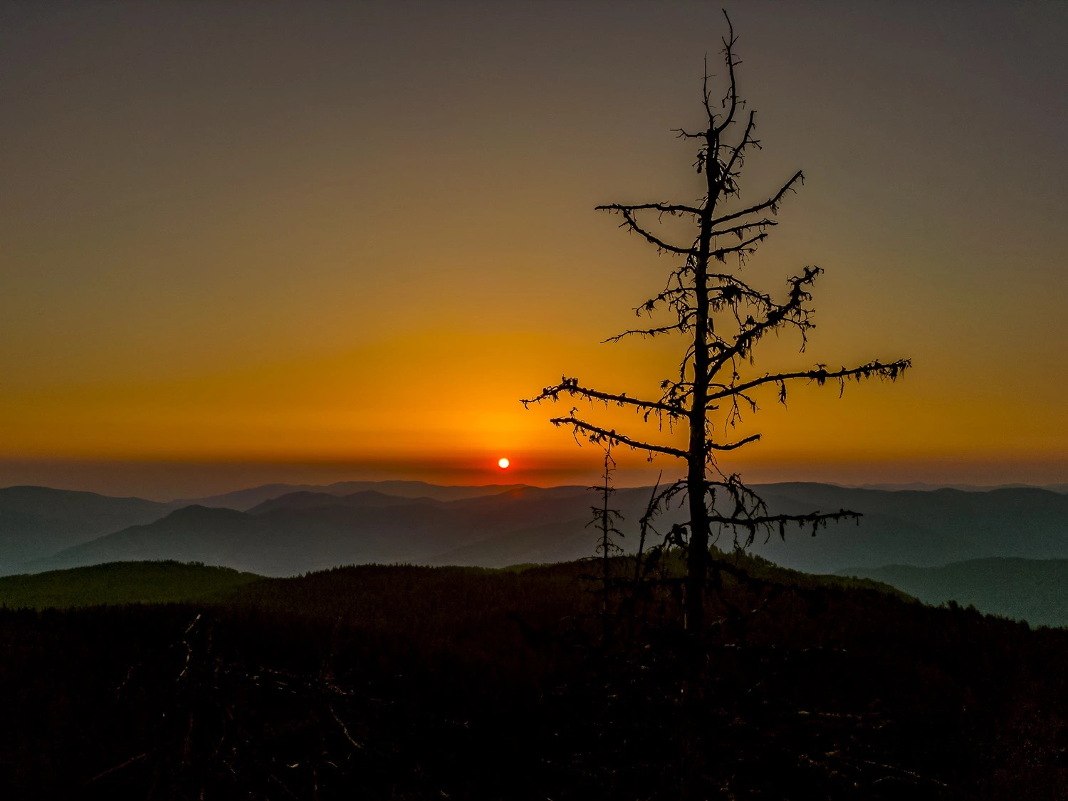 Персенк ултра