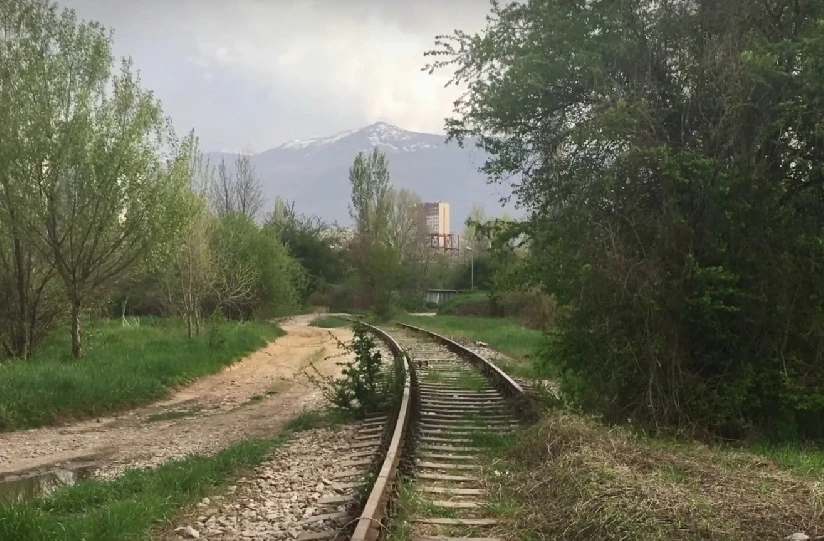 Зелен ринг София